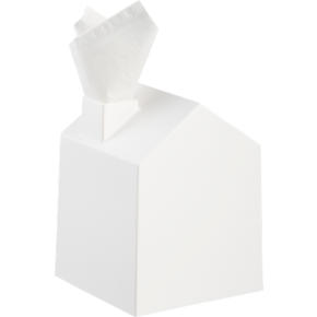 casa tissue house