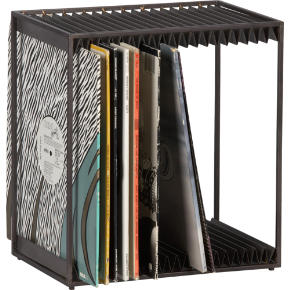 display modular vinyl storage