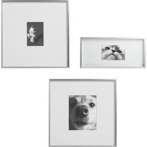 gallery frames