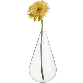 wall mounted teardrop vase