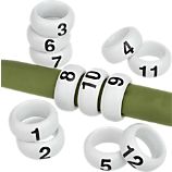A Dozen Napkin Rings