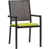 Alfresco Grey Dining Chair with Sunbrella® Apple Cushion