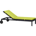 Grey Chaise Lounge with Cushion