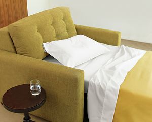 Allerton Twin Sleeper Sofa