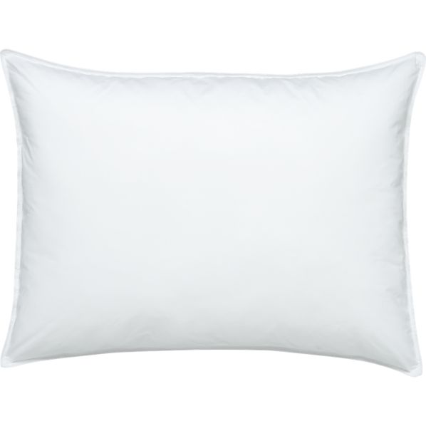 AltDownPillowStnd26x20F7