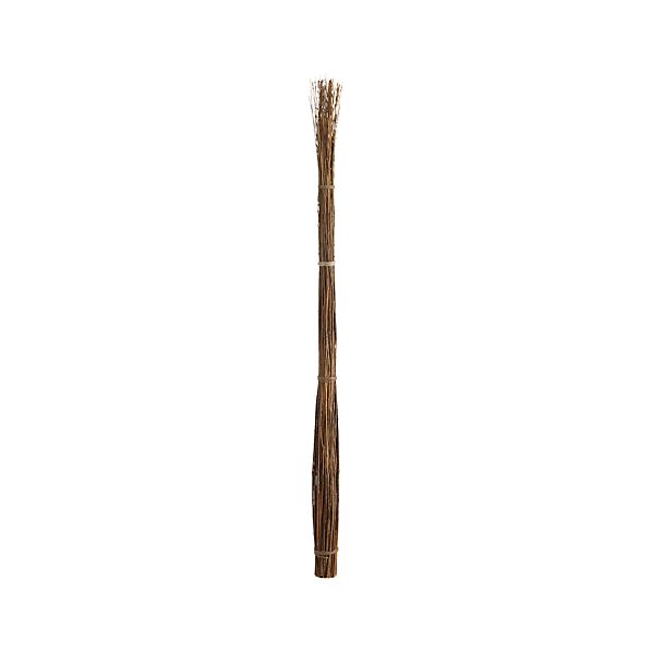 AsianWillowBranchNatLLF12