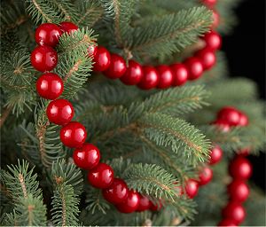 Red Ball Garland