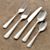 BarberryPlacesetting5PcS13