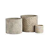Bataan Planters