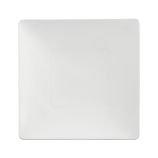 Bennett Square Dinner Plate