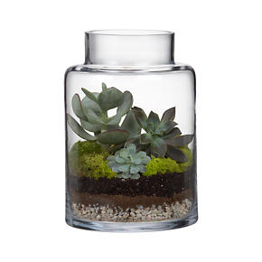 Boris Hurricane-Terrarium