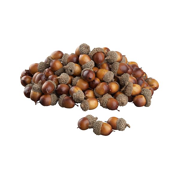 Faux Nuts