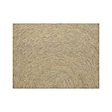 Bridget 9x12 Rug