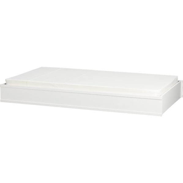 BrightonTrundleS8