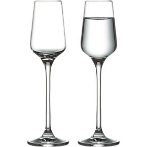 Bryn Grappa-Cordial Glass