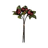 Magnolia Bundle
