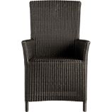 Captiva Java Arm Chair