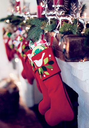 Caroline Stocking
