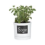 Chalkboard Herb Pot with Saucer