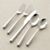 CharlottePlacesetting5PcS13
