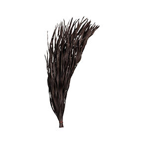 Chocolate Anahao Strips