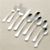 CirrusFlatware52PcS13