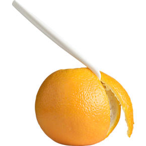 Citrus Peeler