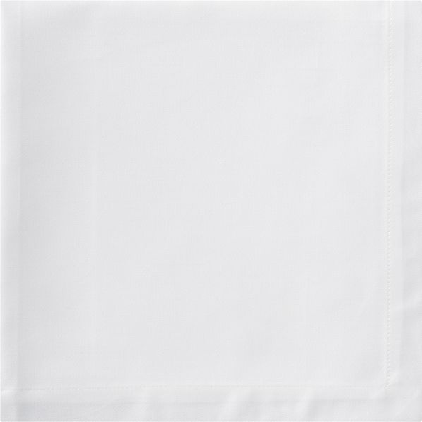 ClassicWhiteNapknS12