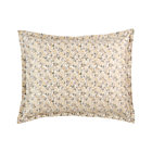 Clove Standard Sham.