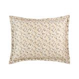 Clove Standard Sham