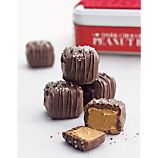 Dark Chocolate and Sea Salt Peanut Butter Bites