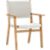 DarwinDiningArmChair3QS13