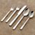 DevonPlacesetting5PcS13