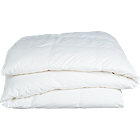 Twin Down Duvet Insert.