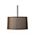 EclipsePendantS10