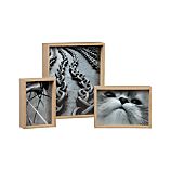 Edlyn Frames