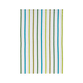 Emily Dishtowel