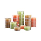 Set of 24 Fall Color Tealight Candles