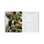 FastFreshGreenBookAVF12