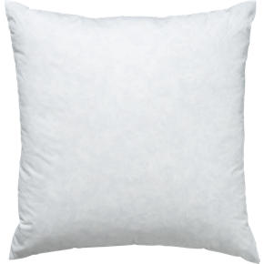 Feather-Down 25 Pillow Insert
