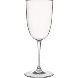 Fina Acrylic White Wine Glass