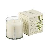Fresh Cut Grass Scented Candle