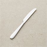 Fusion Dinner Knife