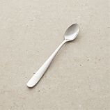 Fusion Iced Tea Spoon