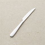 Fusion Steak Knife