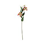 Gloriosa Lily Stem