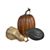GourdPumpkinNSquashF12
