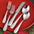 GourmetFlatwareHD10