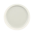 Graeden Dinner Plate.