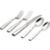 HarrisonFlatware5PcSetAV